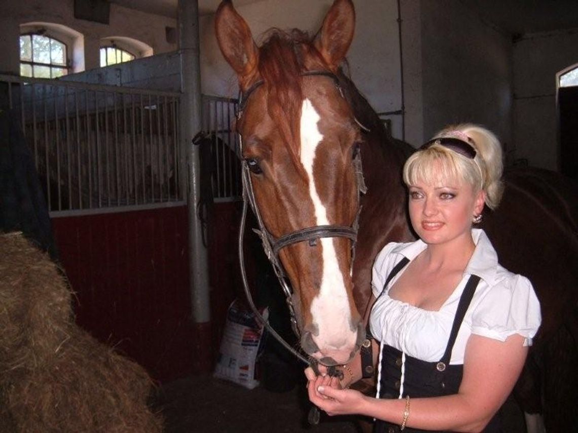 O koniach, Polakach i śmiesznych słownikach O koniach, Polakach i śmiesznych słownikach