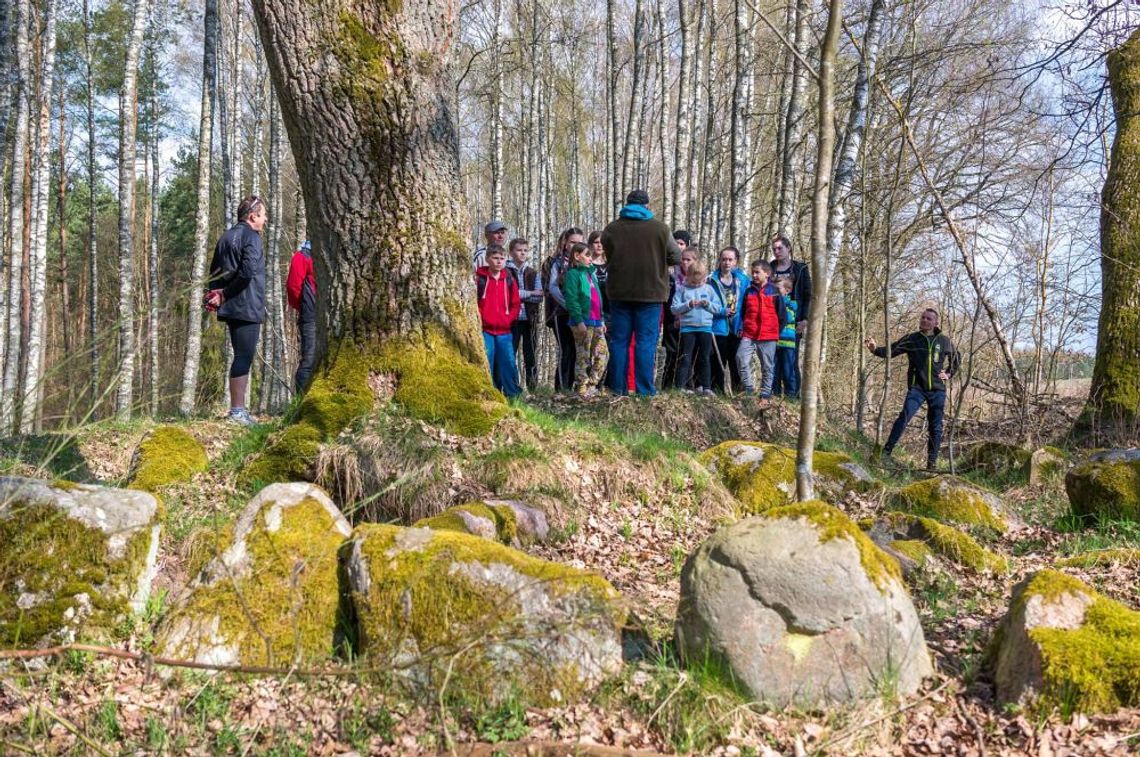 O pomorskim Stonehenge w gminie Potęgowo podczas konferencji naukowej