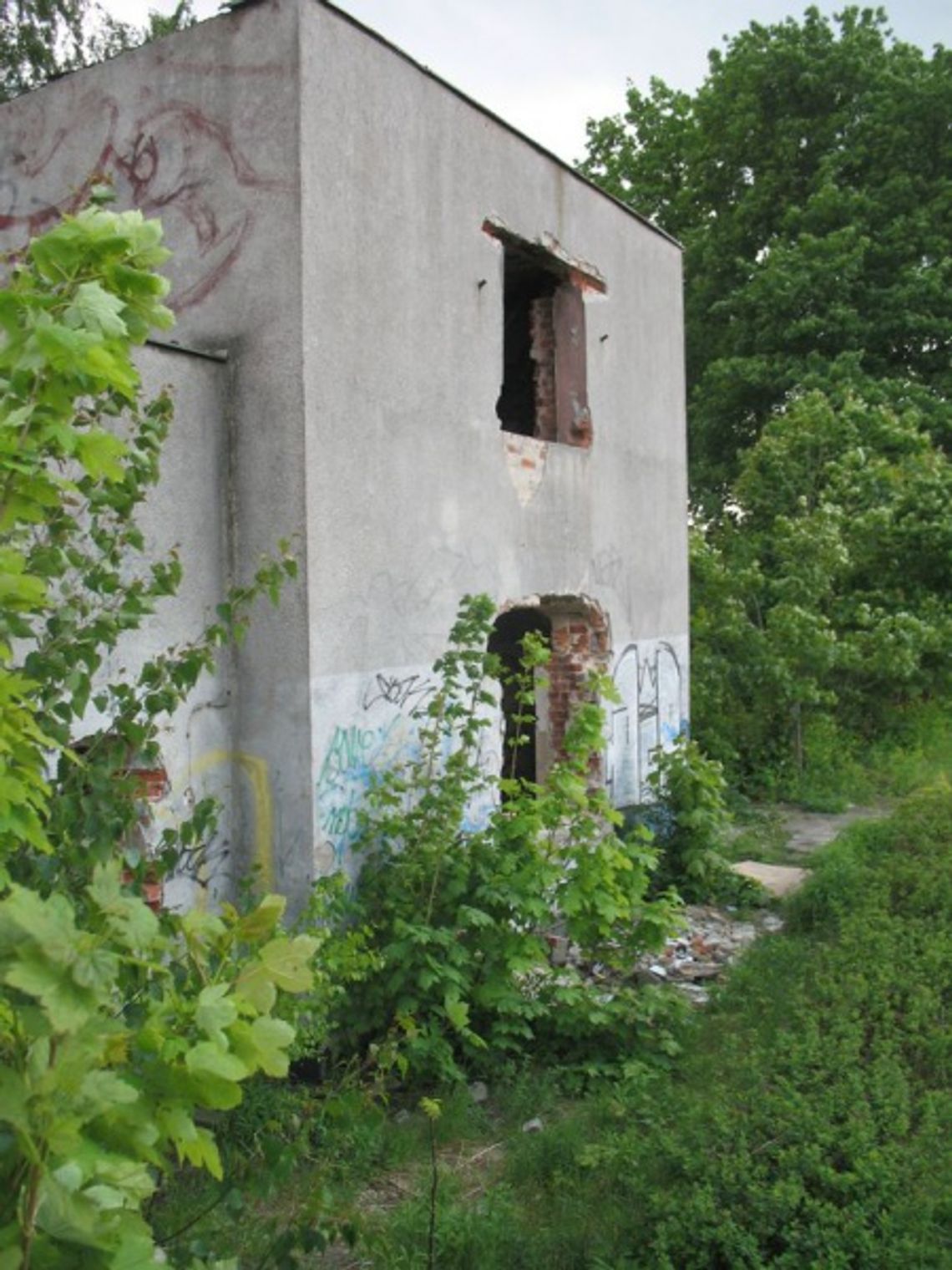 Odnaleziono ciało kobiety Odnaleziono ciało kobiety