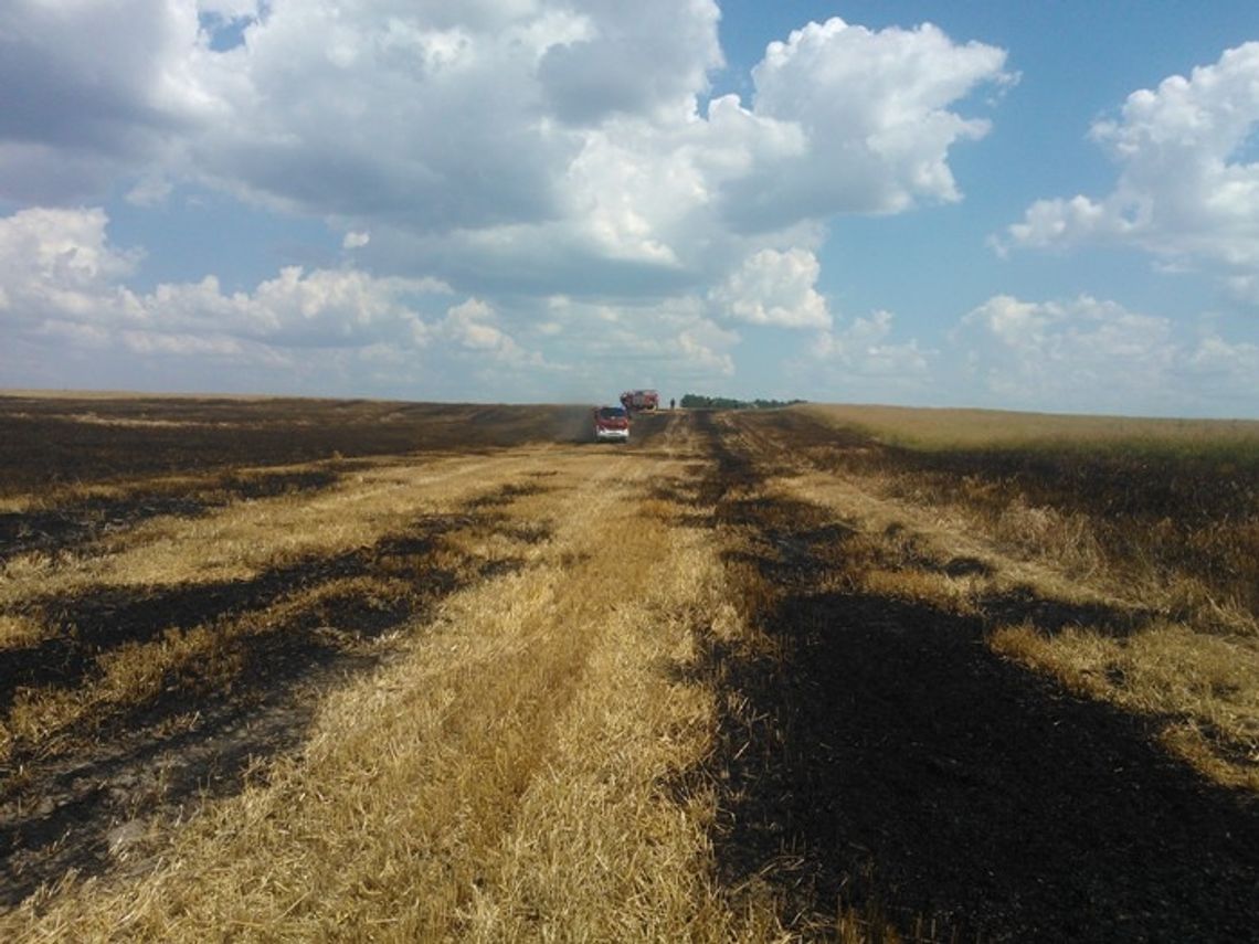 Ogień strawił zboże