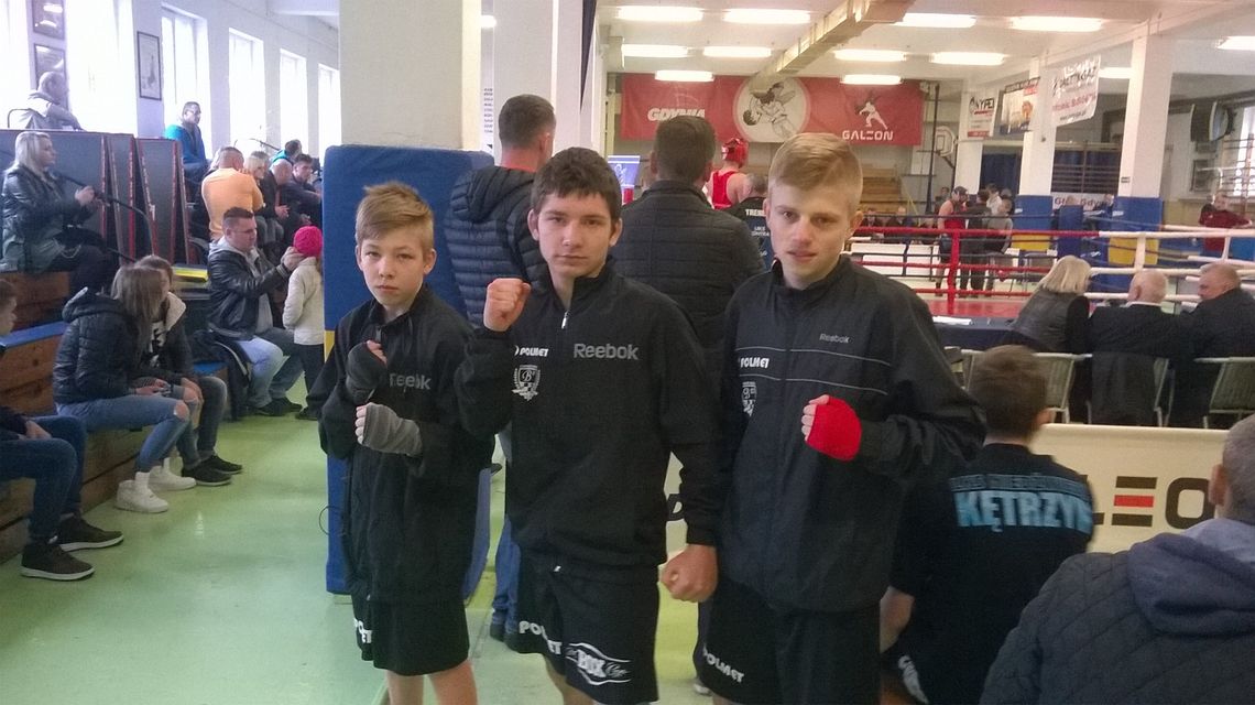 Ogólnopolski Turniej Bokserski - Beniaminek Polmed nie zawiódł Ogólnopolski Turniej Bokserski - Beniaminek Polmed nie zawiódł