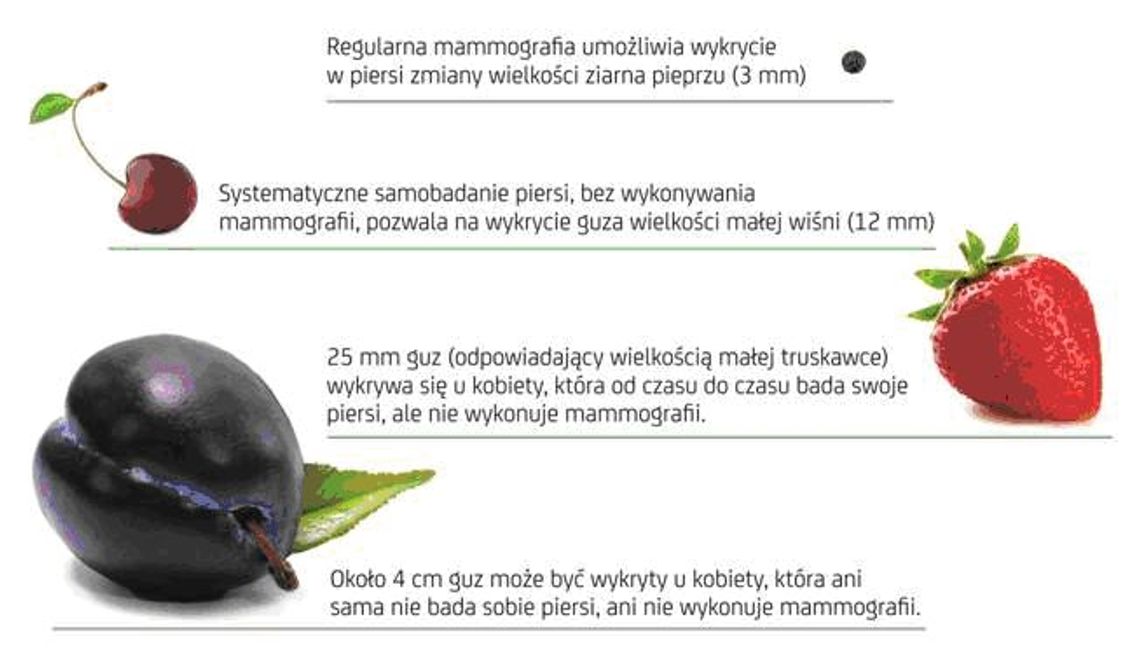 Okazja do zbadania w mammobusie! Okazja do zbadania w mammobusie!