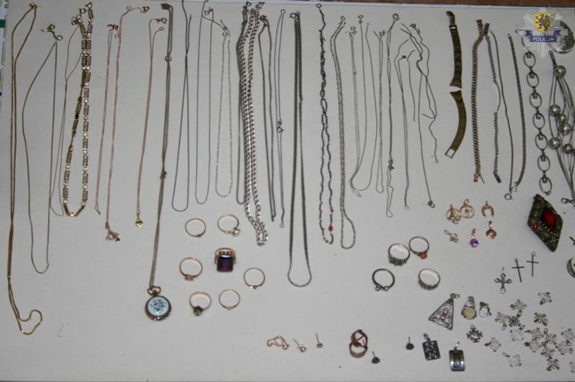 Okradł domy na ponad 200 tys. złotych Okradł domy na ponad 200 tys. złotych