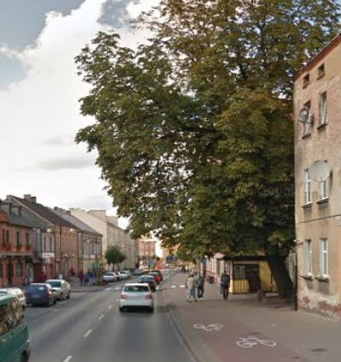 Olbrzymi kasztanowiec zagraża przechodniom? Jest ekspertyza