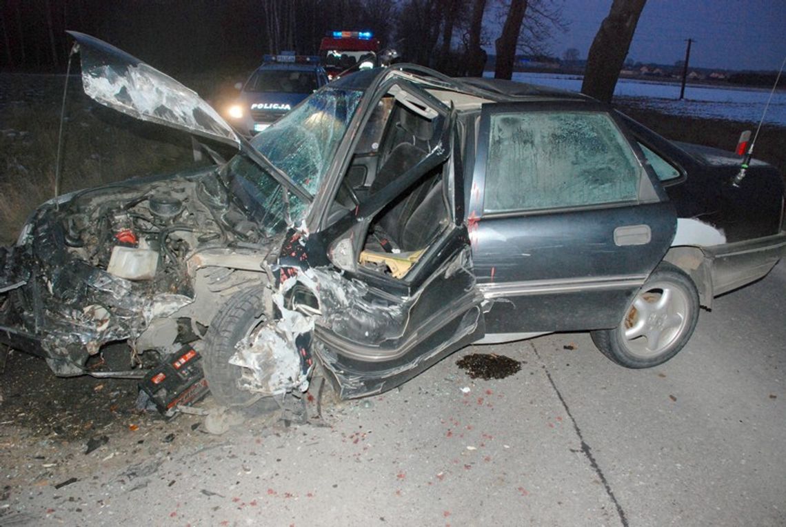 Oplem w drzewo, bez "prawka" Oplem w drzewo, bez "prawka"