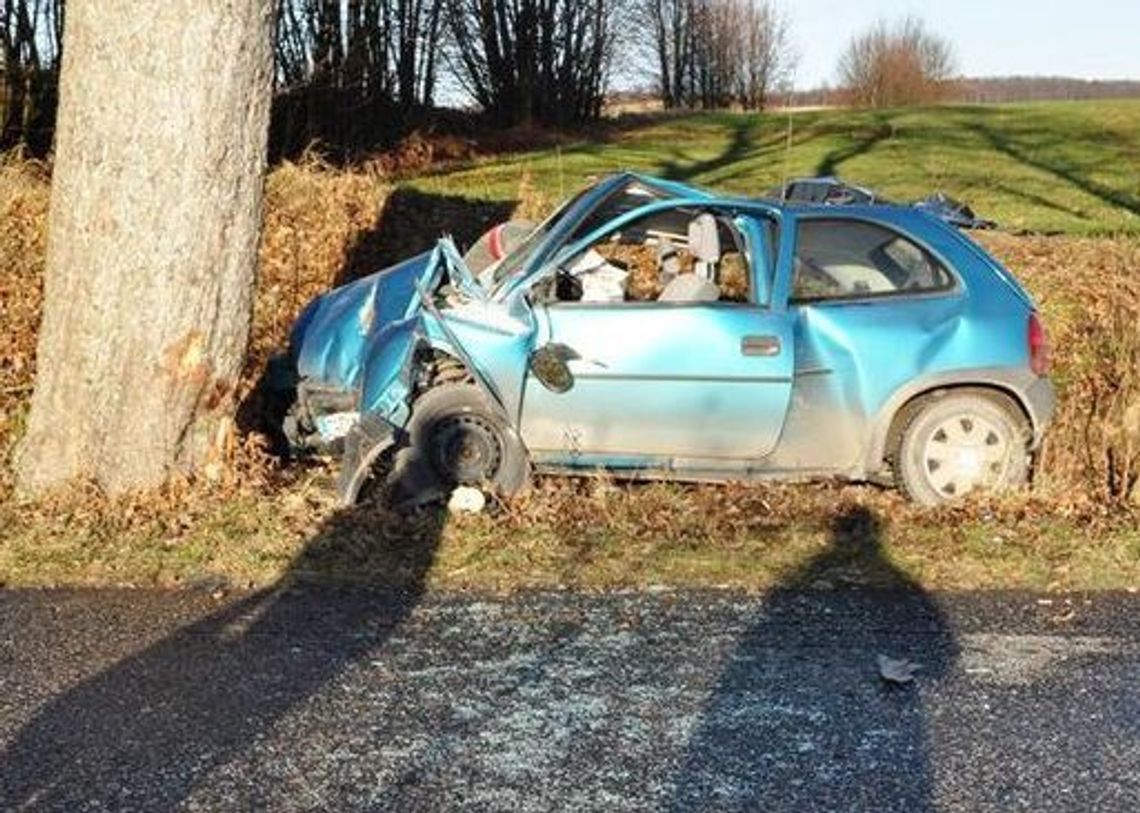 Oplem w drzewo, zginęła 20-letnia dziewczyna