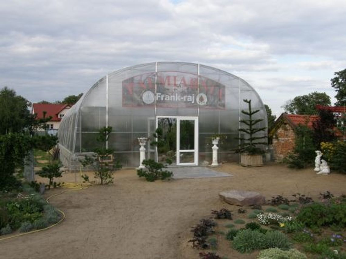 Palmy na Kociewiu już rosną Palmy na Kociewiu już rosną