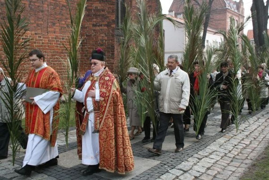 Palmy z Wiecznego Miasta Palmy z Wiecznego Miasta