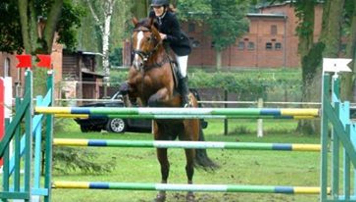 Pawilony są puste,  konie wyprowadzone. Co dalej ze Stadem Ogierów? 