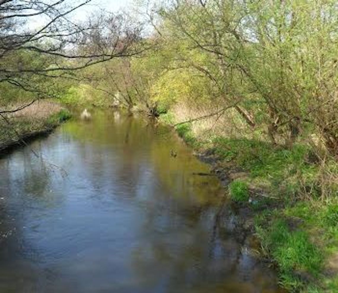 „Piekiełki” tylko dla kamperów? „Szkoda tego terenu” „Piekiełki” tylko dla kamperów? „Szkoda tego terenu”