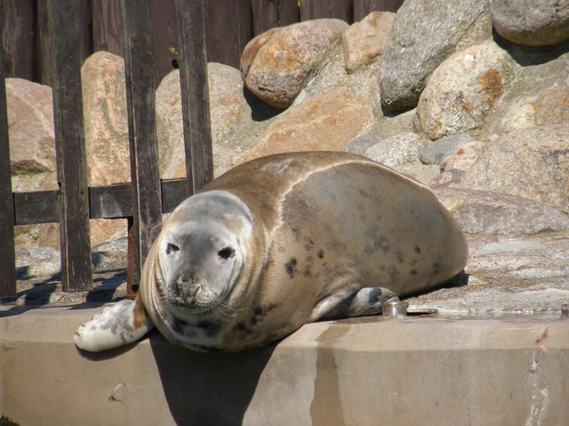 Piękna nasza Polska cała Piękna nasza Polska cała