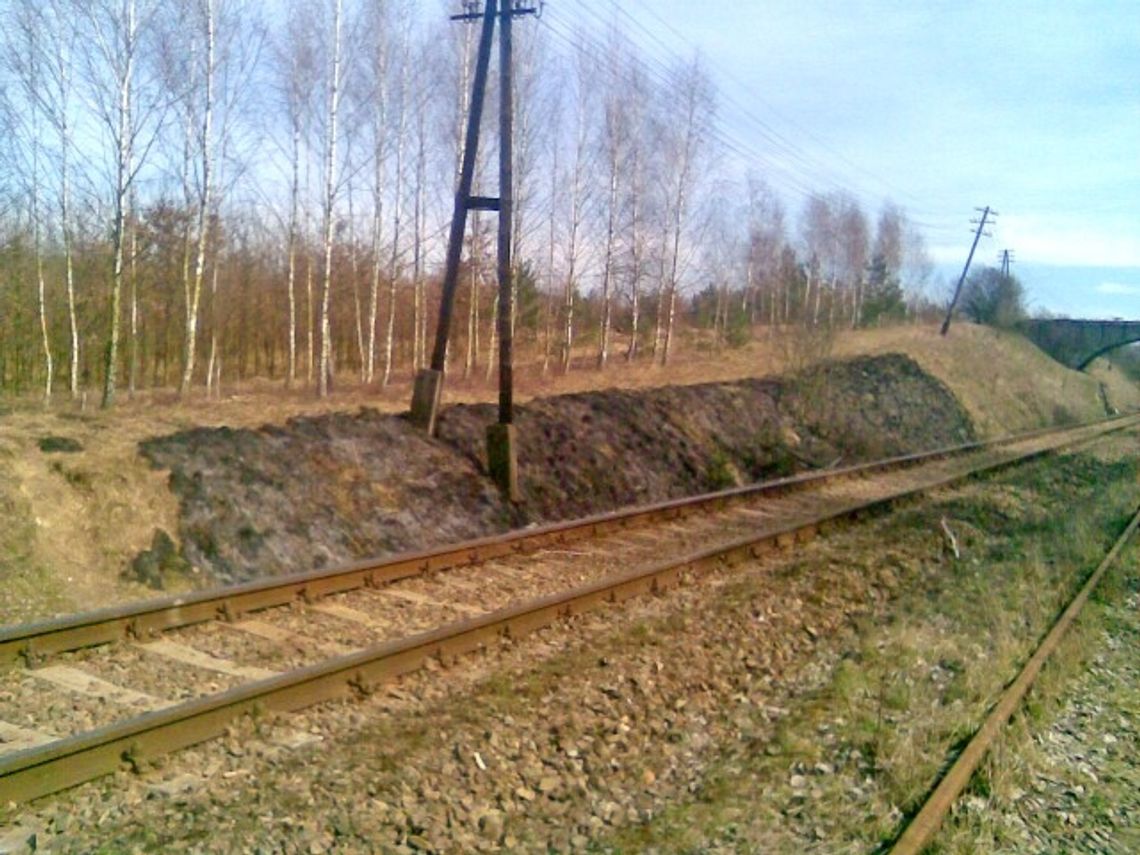 Pierwsze pożary traw Pierwsze pożary traw