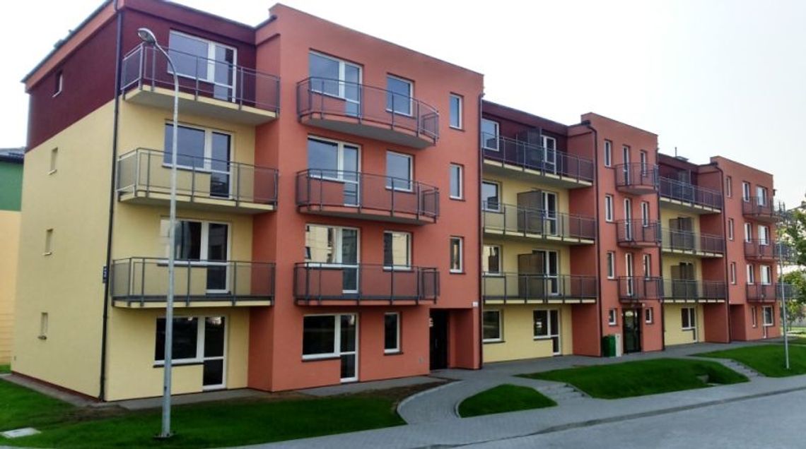 Pierwsze rodziny w nowym TBS Pierwsze rodziny w nowym TBS