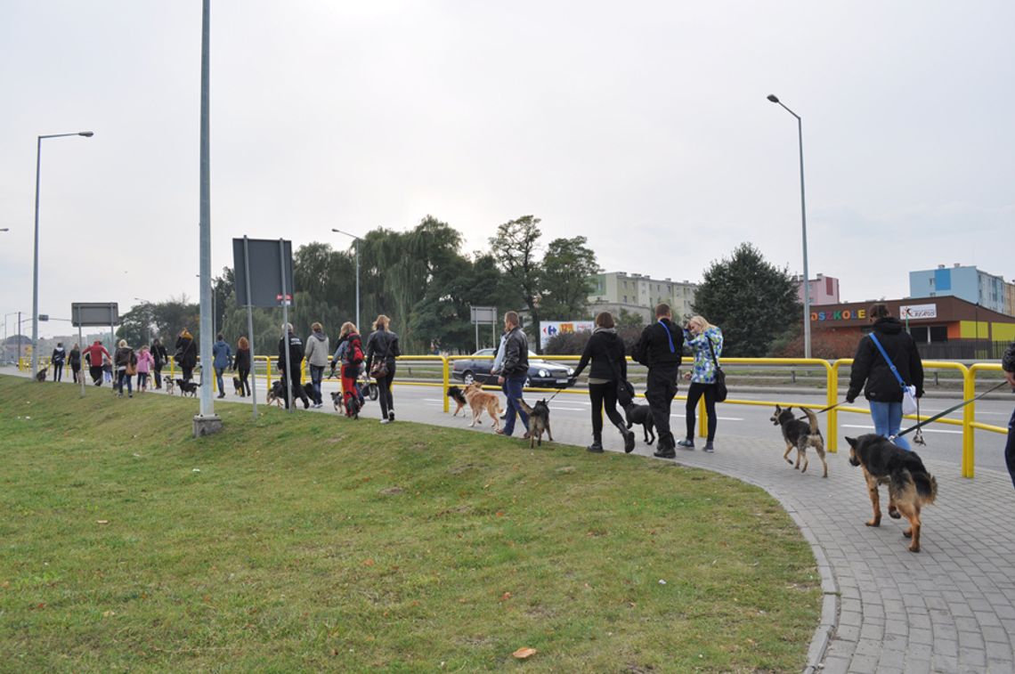 Pierwszy Tczewski Spacer Przyjaźni