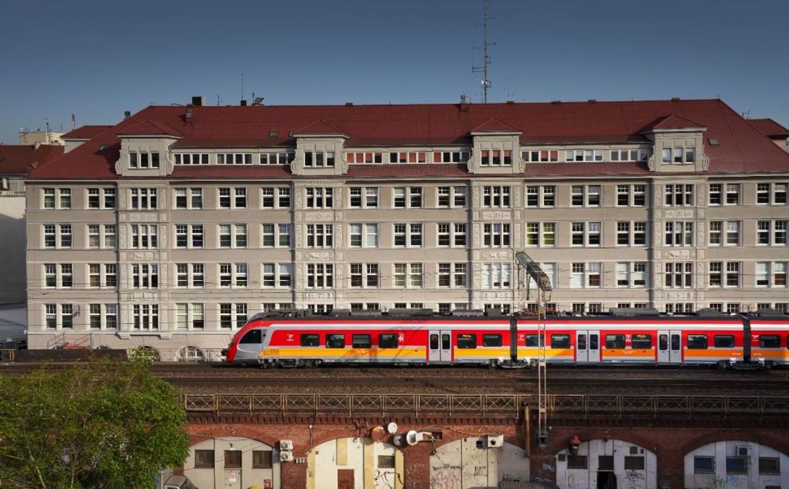 Pies i kot w podróży. Jak bezpiecznie i komfortowo przewozić swojego pupila pociągiem Pies i kot w podróży. Jak bezpiecznie i komfortowo przewozić swojego pupila pociągiem