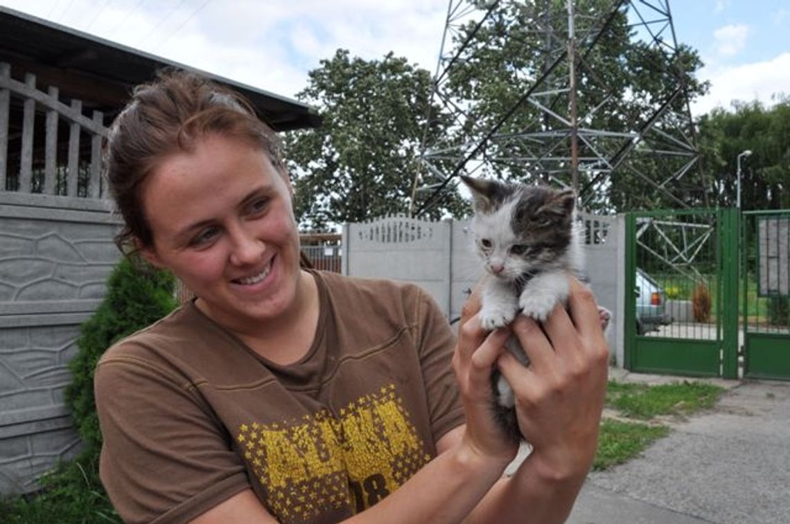 Pieskie życie czworonogów. Coraz więcej zwierząt w schronisku Pieskie życie czworonogów. Coraz więcej zwierząt w schronisku