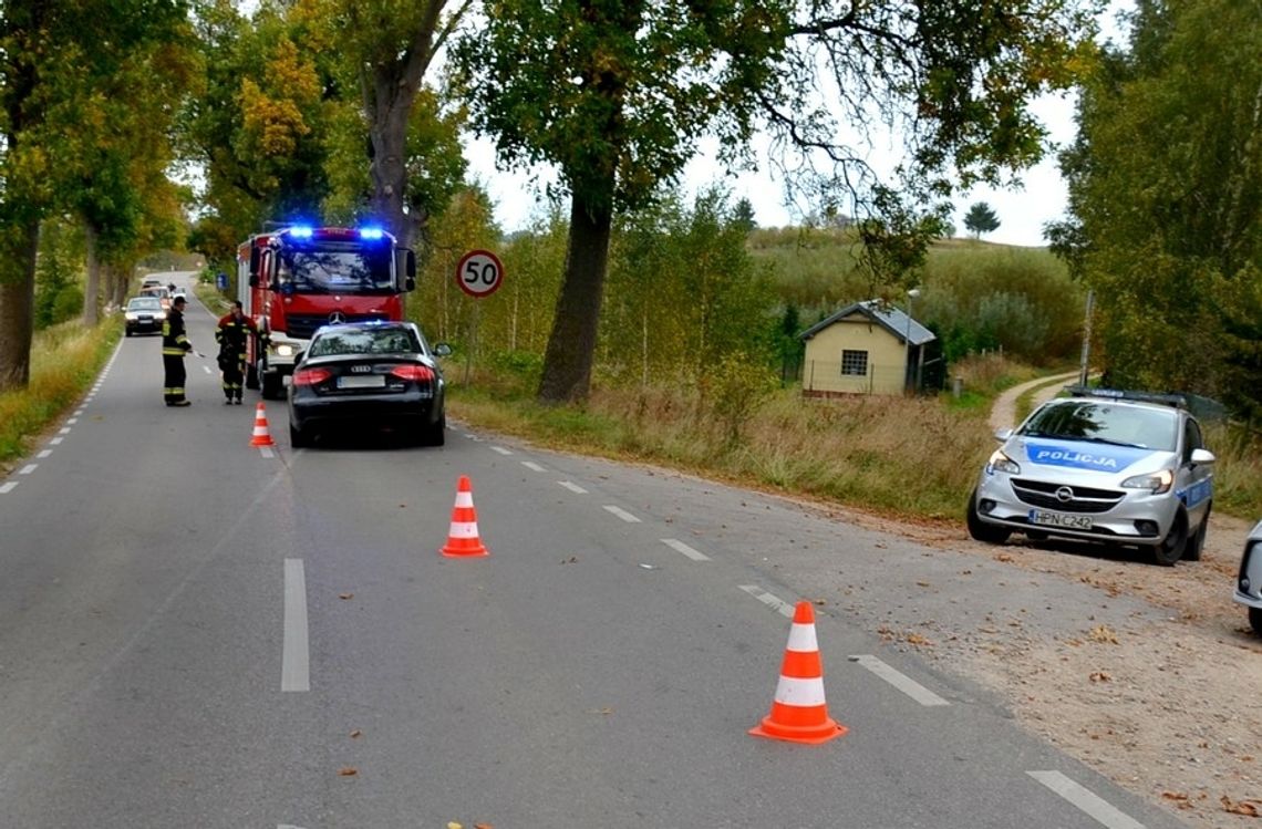 Pijany kierowca Audi spowodował wypadek w Zelgoszczy