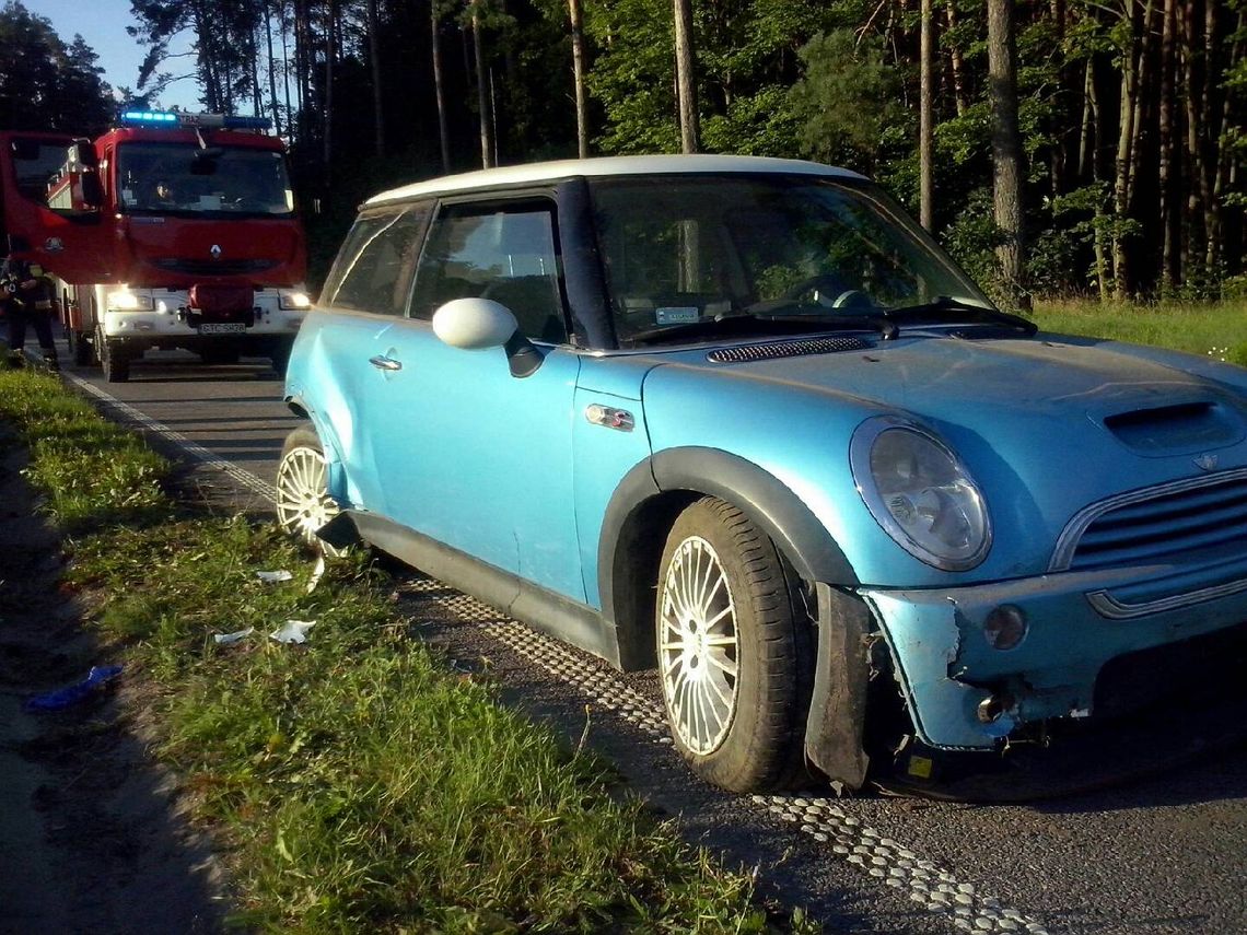 PILNE. Mini cooper uderzył w drzewo. Jedna osoba ranna, droga częściowo zablokowana PILNE. Mini cooper uderzył w drzewo. Jedna osoba ranna, droga częściowo zablokowana