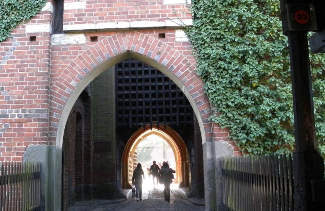 Pilnujący wystaw pracują bez pensji Pilnujący wystaw pracują bez pensji