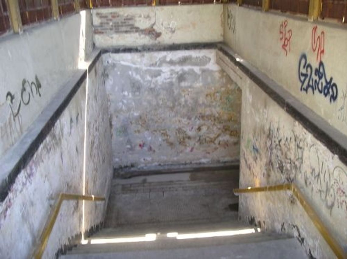 PKP – zniknęła z dachu brzoza PKP – zniknęła z dachu brzoza