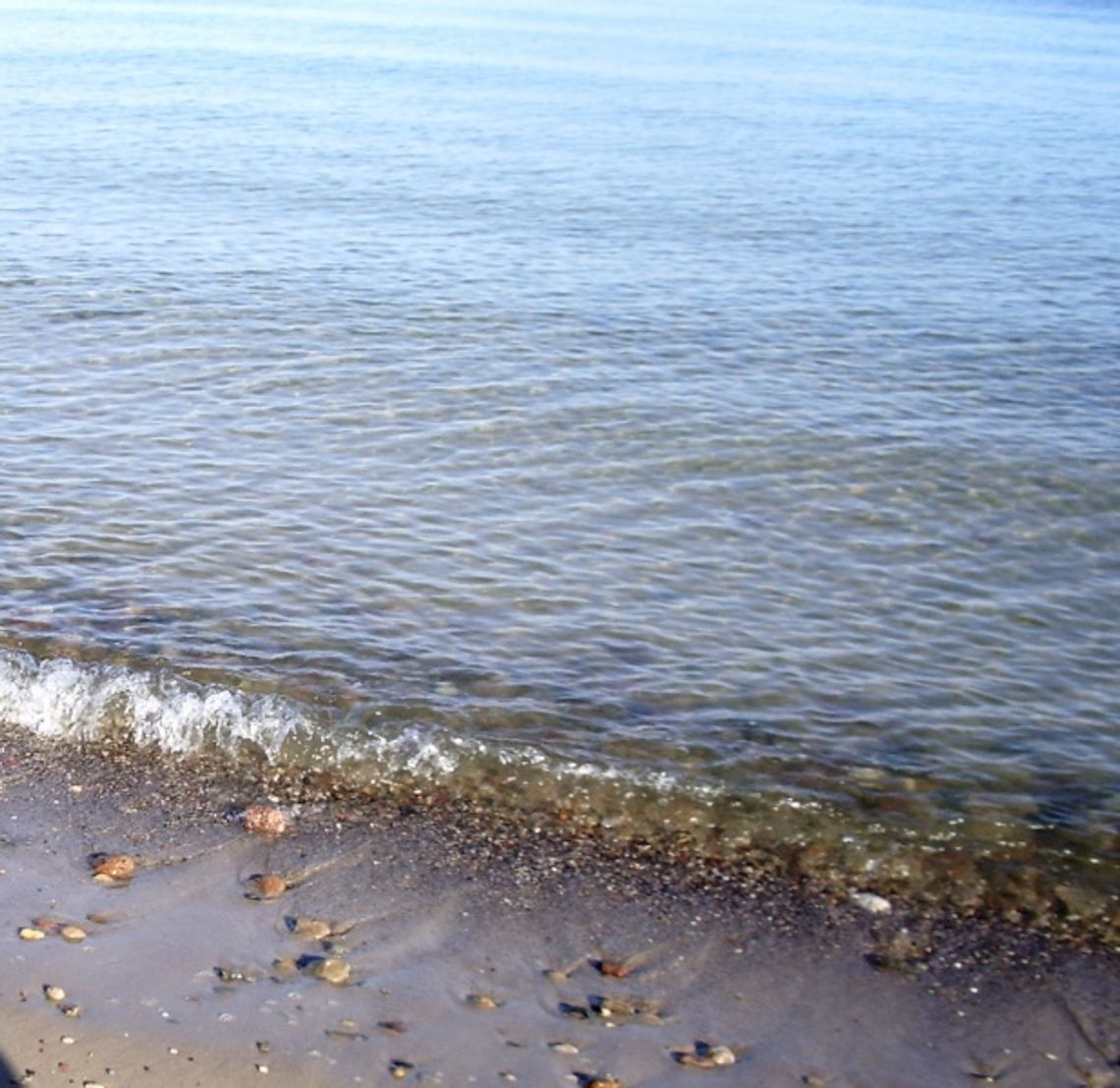 Plaże w Orłowie i Sopocie zagrożone sinicami