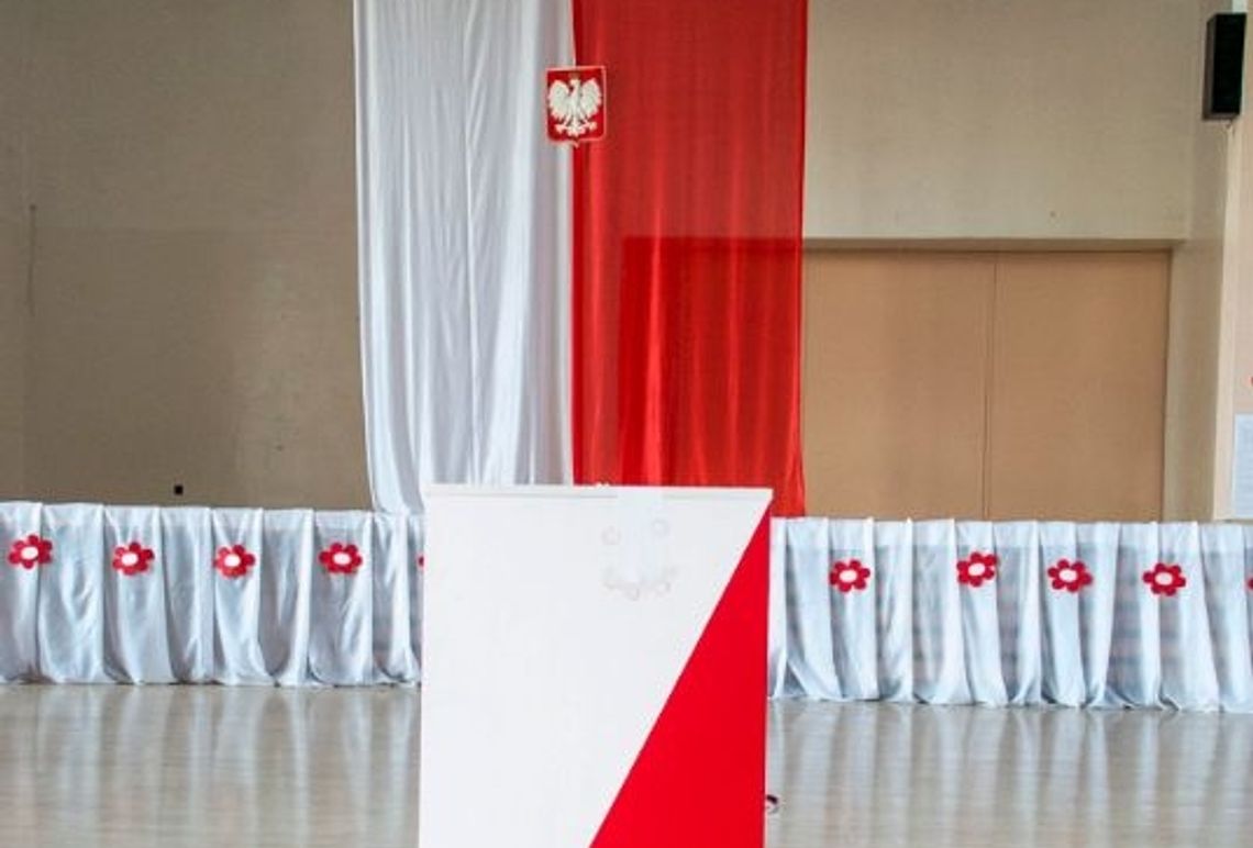 Po co nam właściwie referendum? Po co nam właściwie referendum?