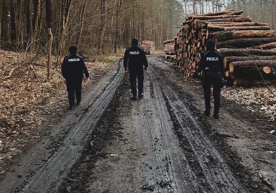 Pobiegli za psem, który się spłoszył, ale zgubili się w lesie Pobiegli za psem, który się spłoszył, ale zgubili się w lesie
