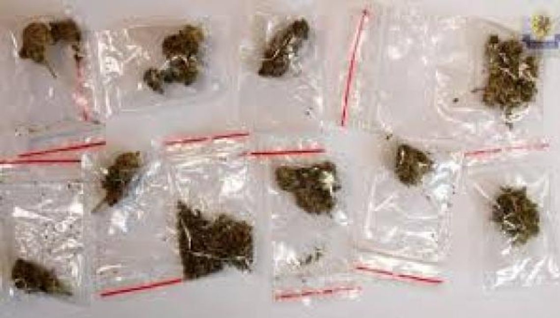 Podejrzani o handel środkami odurzającymi wyszli na wolność Podejrzani o handel środkami odurzającymi wyszli na wolność