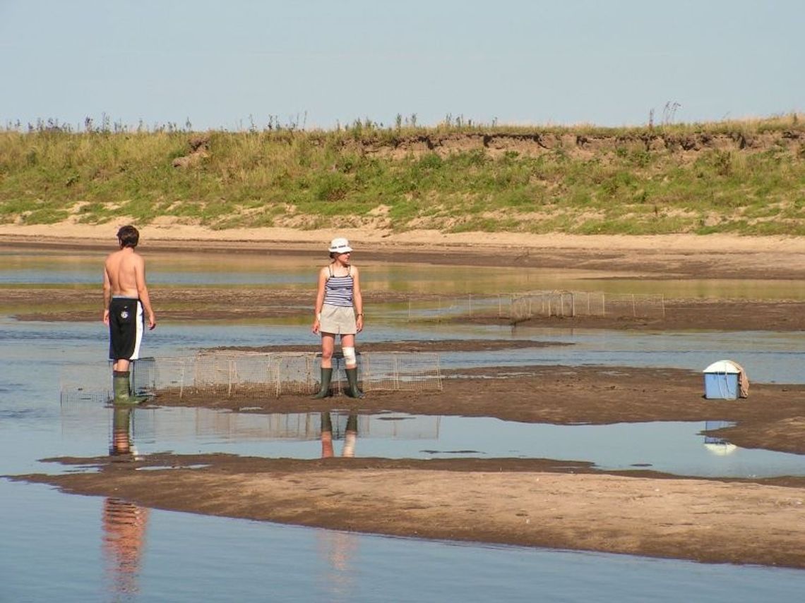 Podglądanie ptaków przez lornetkę Podglądanie ptaków przez lornetkę