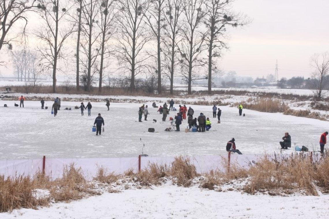 Podlodowe zawody „Pstrąg Kwidzyna 2016” Podlodowe zawody „Pstrąg Kwidzyna 2016”