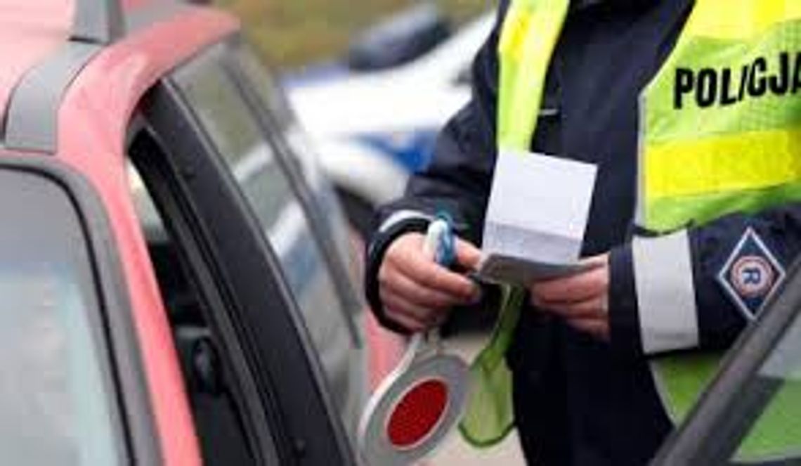 Podrobił dowód rejestracyjny samochodu. 51-latkowi grozi kara do 5 lat pozbawienia wolności Podrobił dowód rejestracyjny samochodu. 51-latkowi grozi kara do 5 lat pozbawienia wolności