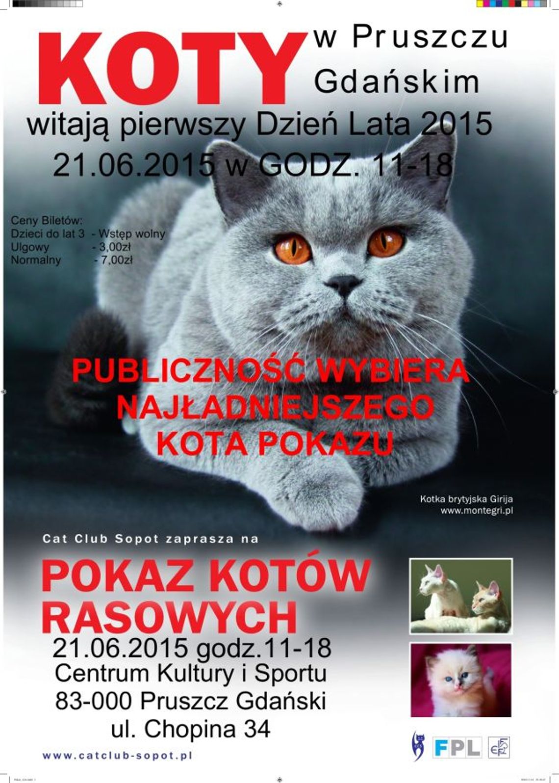 Pokaz Kotów Rasowych i Domowych Pokaz Kotów Rasowych i Domowych