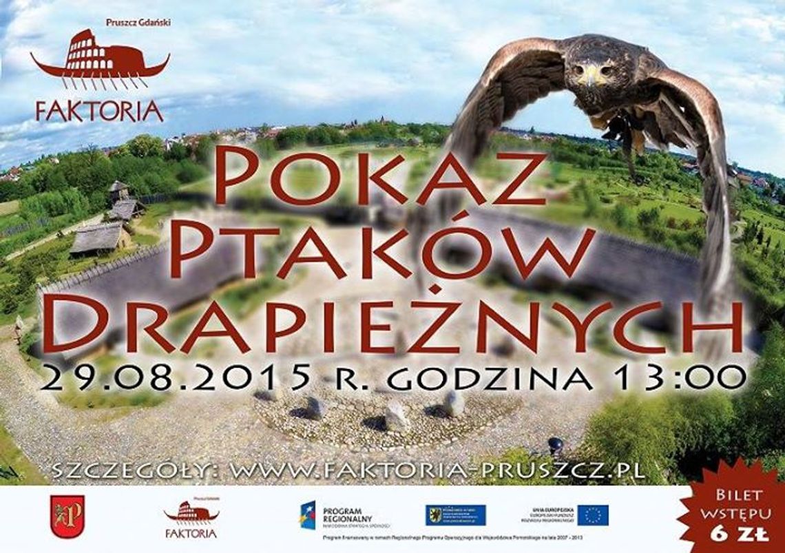 Pokaz Ptaków Drapieżnych Pokaz Ptaków Drapieżnych