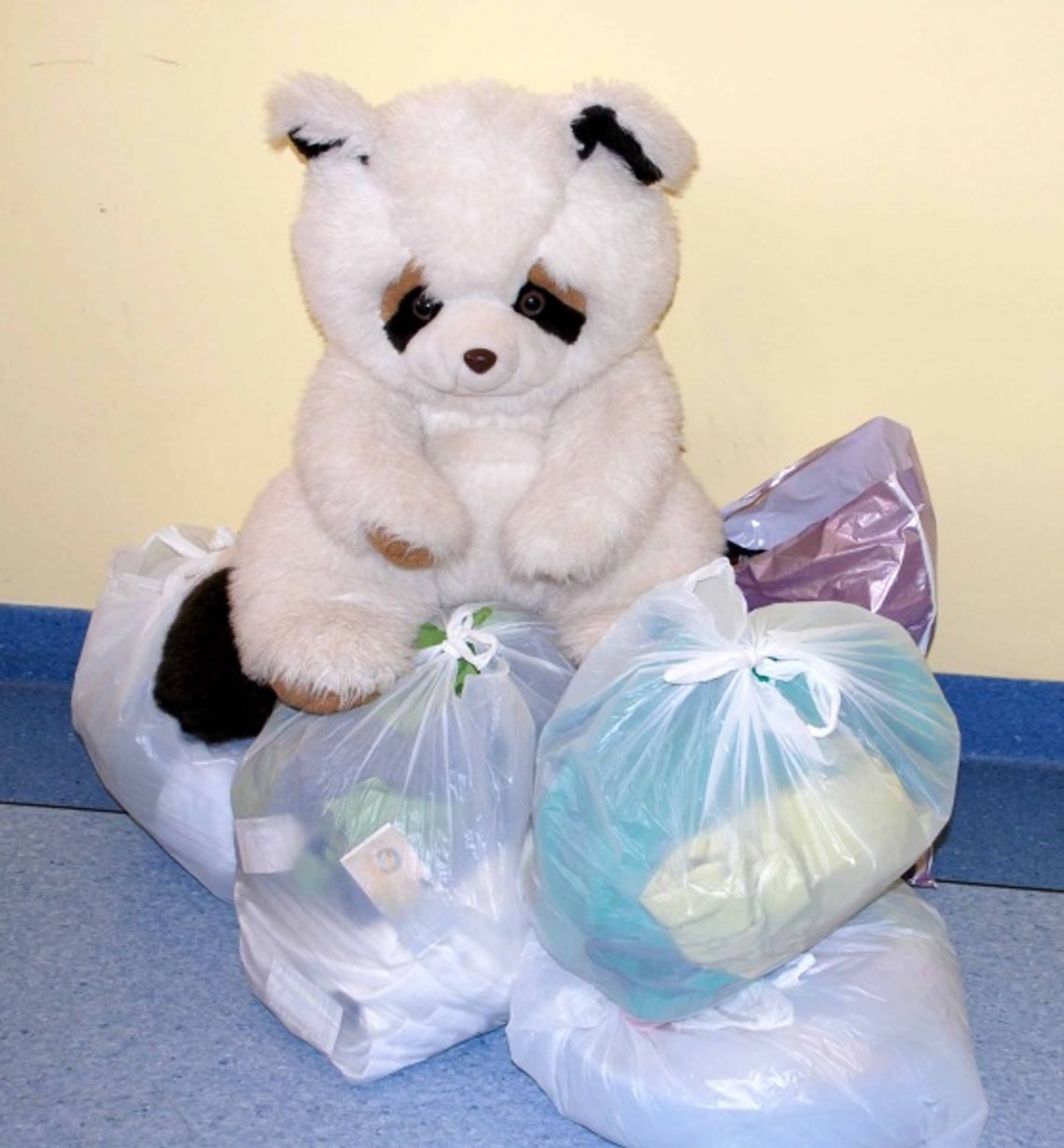 Policja poszukuje właściciela misia i pięciu reklamówek Policja poszukuje właściciela misia i pięciu reklamówek