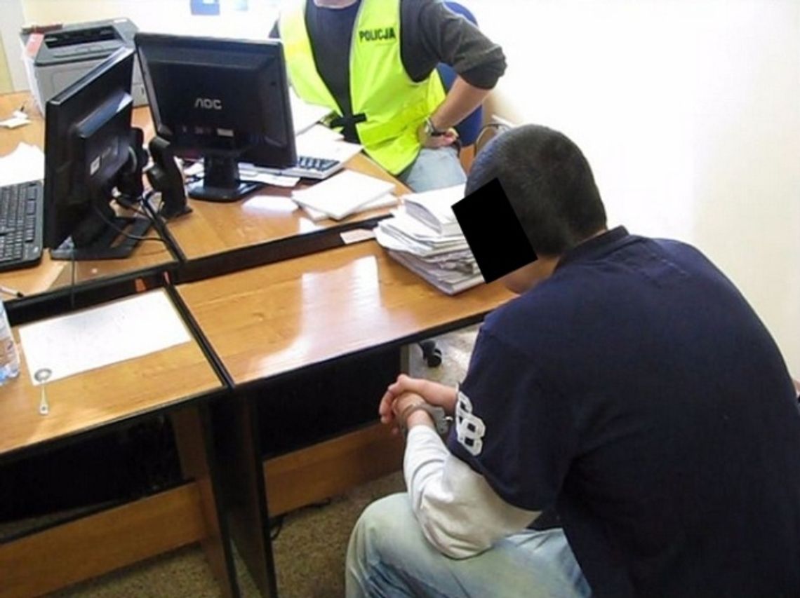 Policja twierdzi, że znieważył funkcjonariuszy wulgarnymi słowami