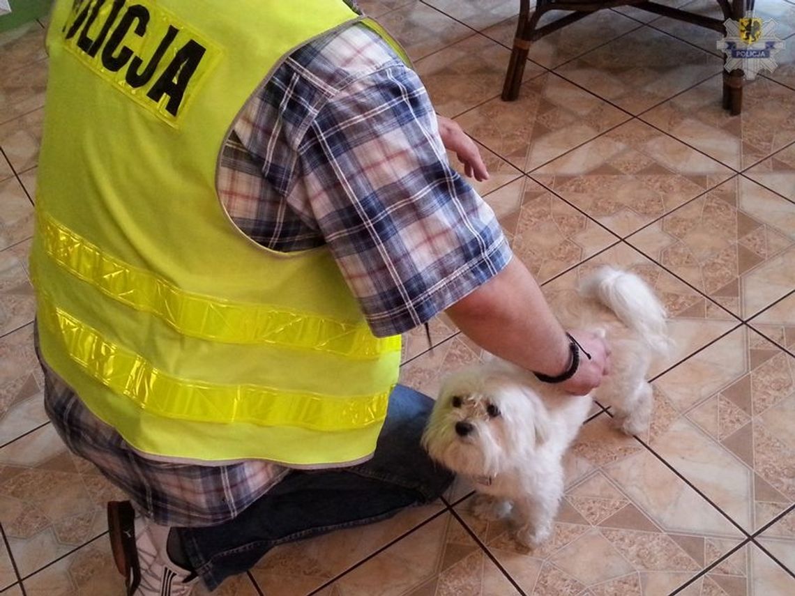 Policjanci odzyskali psa Policjanci odzyskali psa