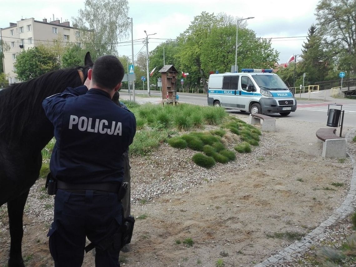 Policjanci zatrzymali biegającego po Nowym Dworze Gdańskim konia.