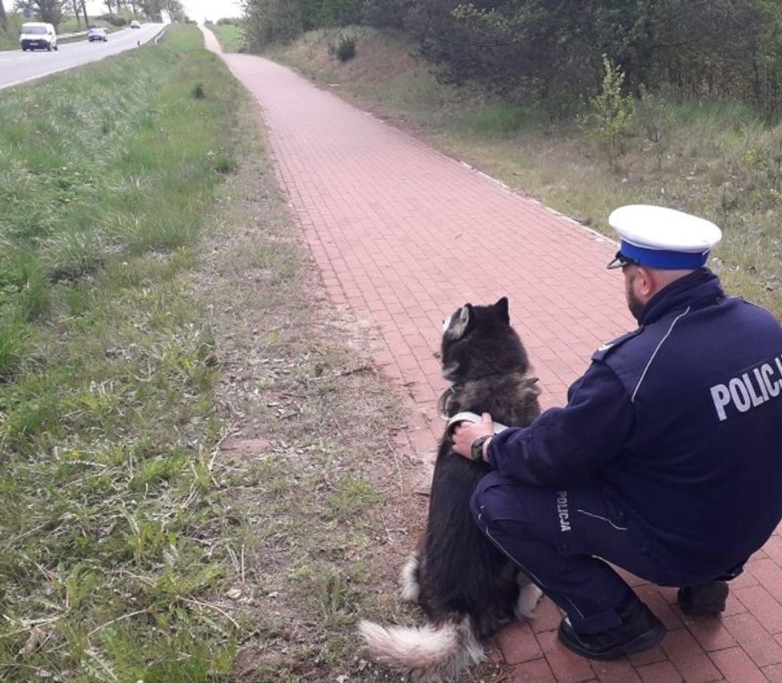 Policjant uratował zakleszczonego psa