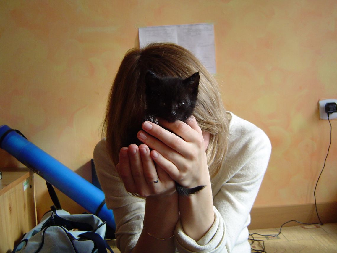 Pomoc w dramacie. „Co cię nie zabije, to cię… porani”      