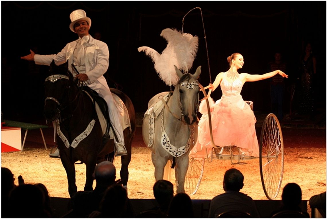 Poniedziałek z Cyrkiem „Zalewski”