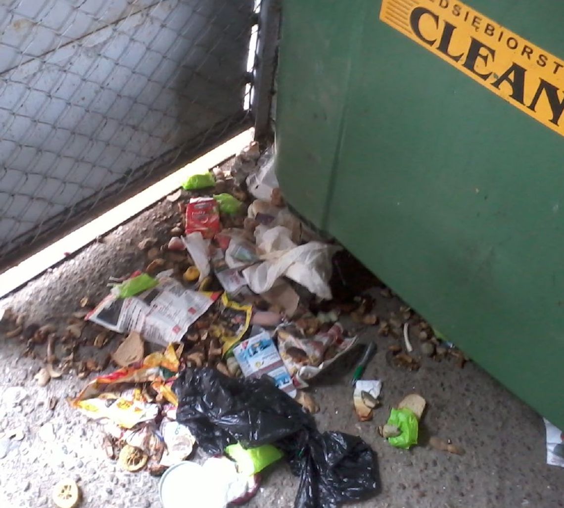 Porozrywane i poprzewracane. Co kryją worki ze śmieciami? Porozrywane i poprzewracane. Co kryją worki ze śmieciami?