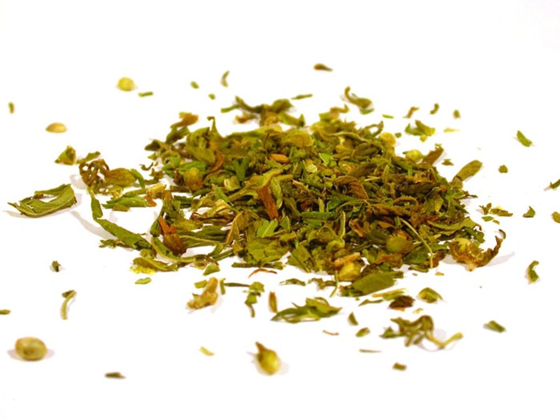 Porywał się do bicia i awanturował w miejscu publicznym - z marihuaną w kieszeni Porywał się do bicia i awanturował w miejscu publicznym - z marihuaną w kieszeni