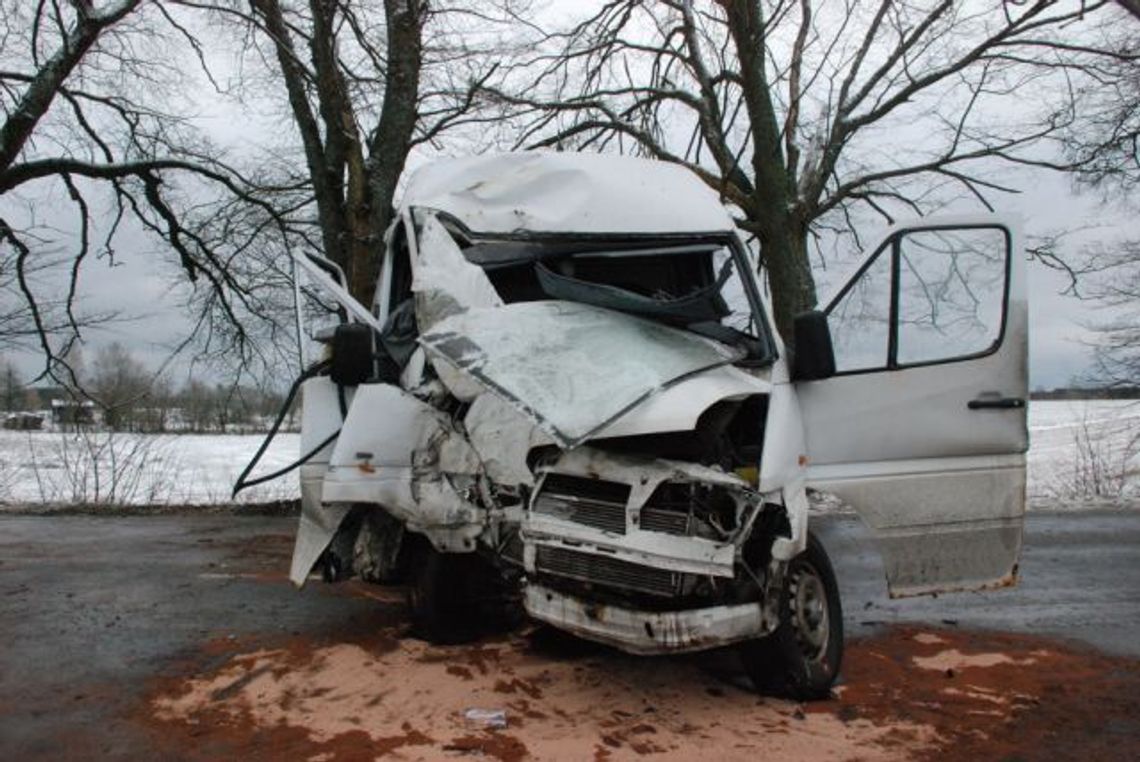 Poślizgiem w drzewo Poślizgiem w drzewo
