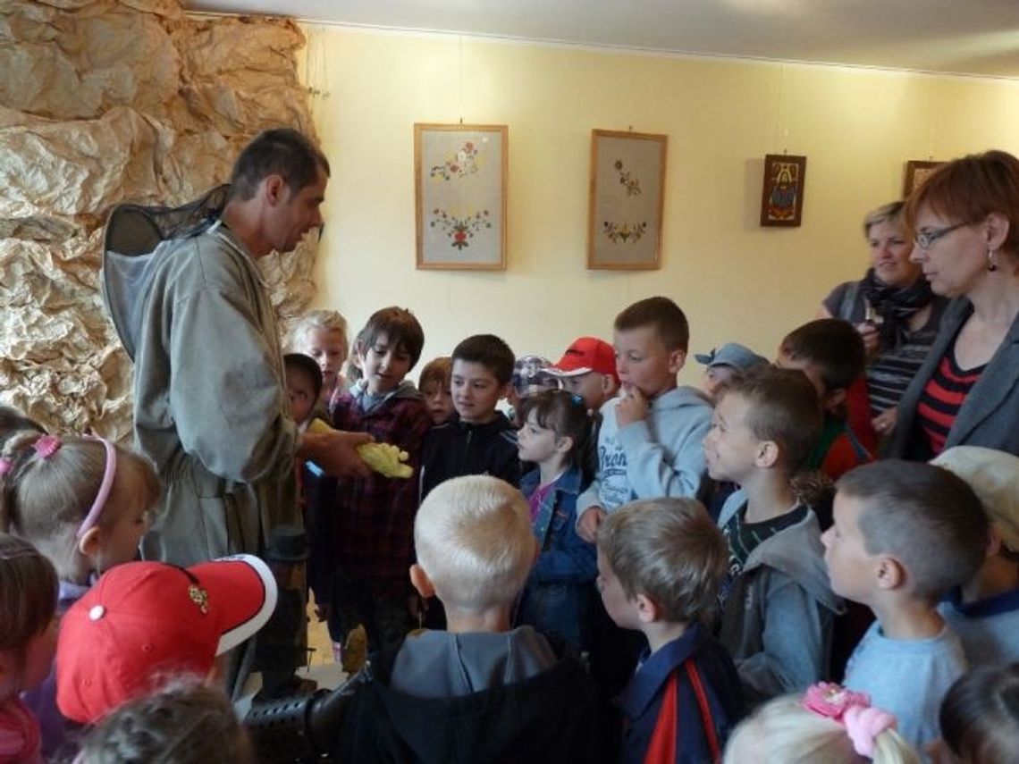 Posmakować miodu z plastra i pyłku Posmakować miodu z plastra i pyłku