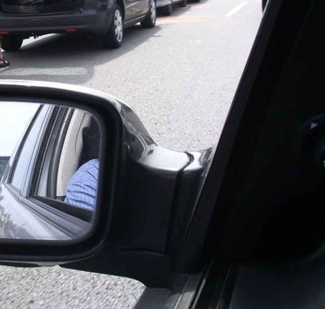 Pospolity auto-złodziejaszek Pospolity auto-złodziejaszek