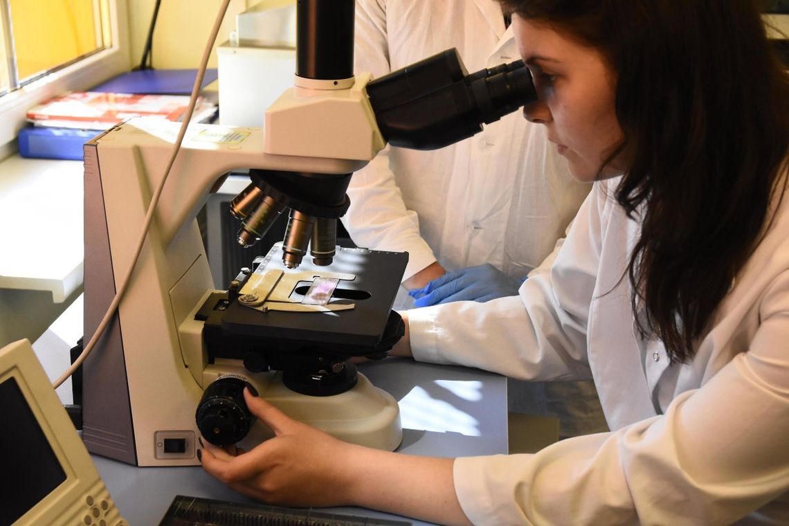 Poszukują niecodziennych i innowacyjnych rozwiązań 