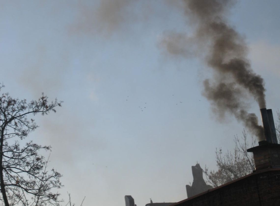 Powstaje plan gospodarki niskoemisyjnej Powstaje plan gospodarki niskoemisyjnej