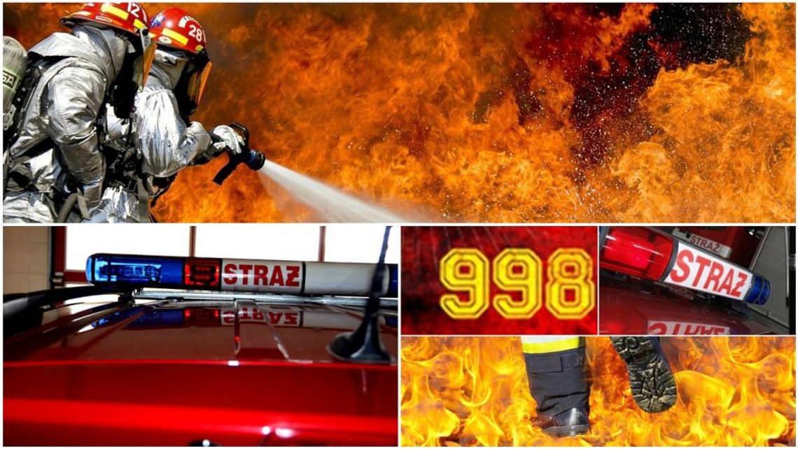 Pożar budynku gospodarczego w Opaleniu. Akcję utrudniał silny wiatr