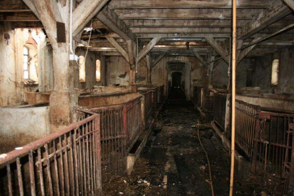 Pożar - ściany gorące, ludzie przestraszeni. Biegły wskaże winnych Pożar - ściany gorące, ludzie przestraszeni. Biegły wskaże winnych