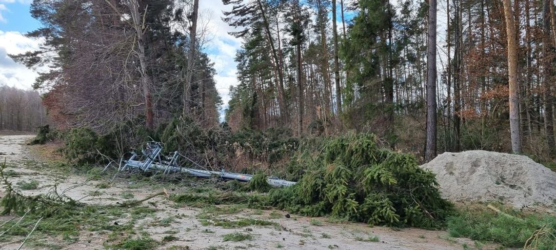 Pracownicy Energi Operatora nadal usuwają skutki wichury